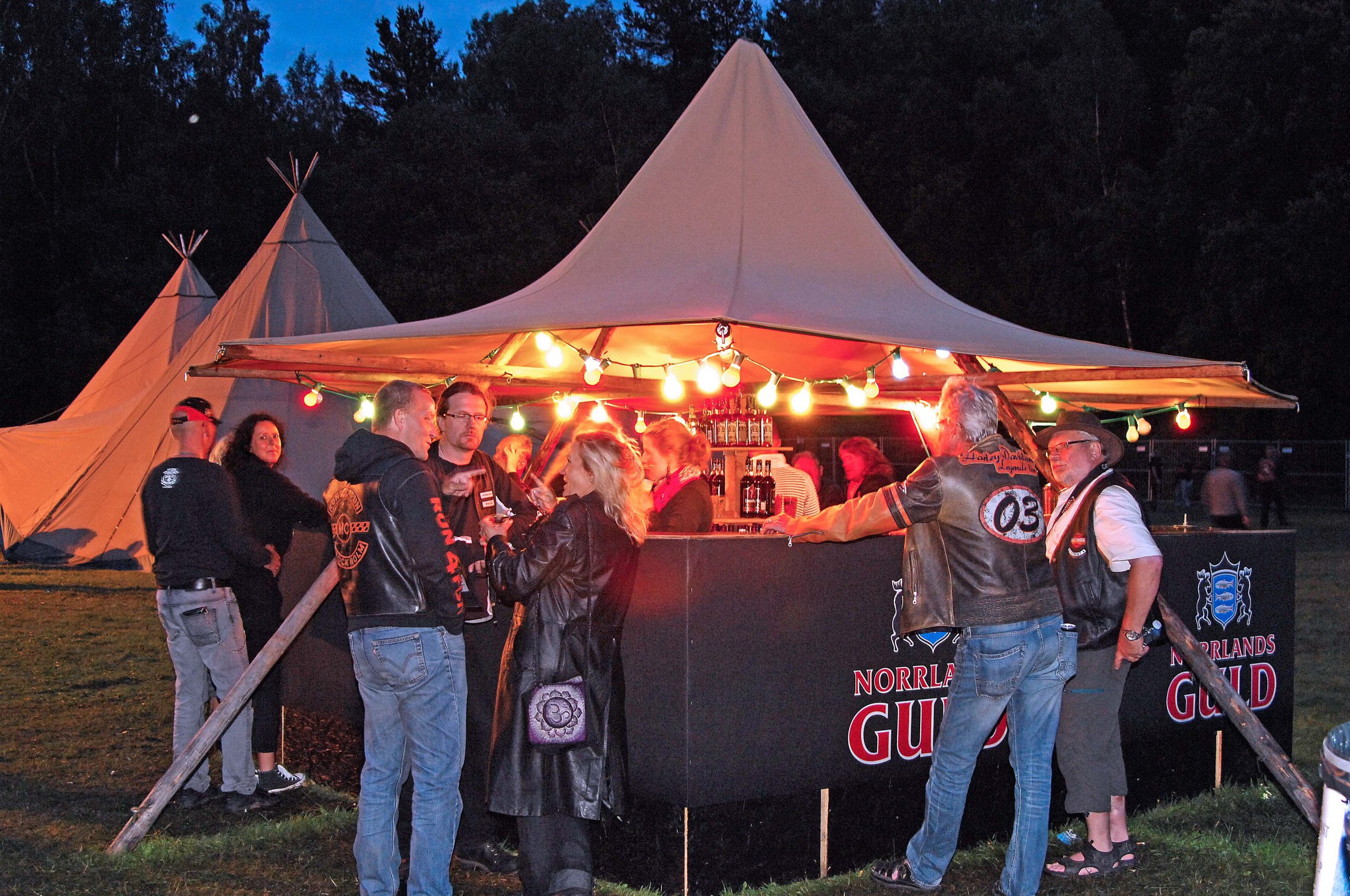 Canopy Tipi Festoon Lights