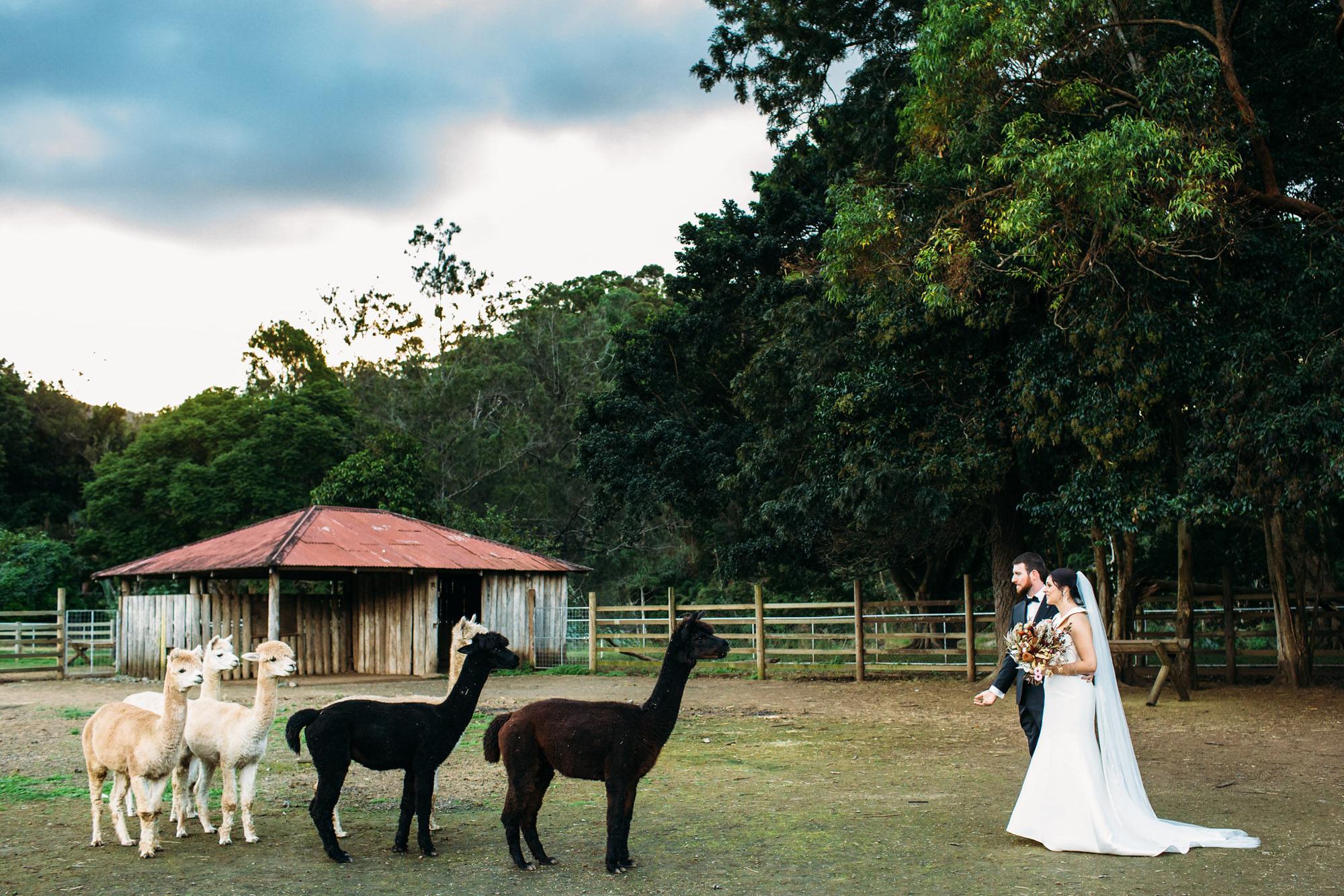 historic rivermill wedding